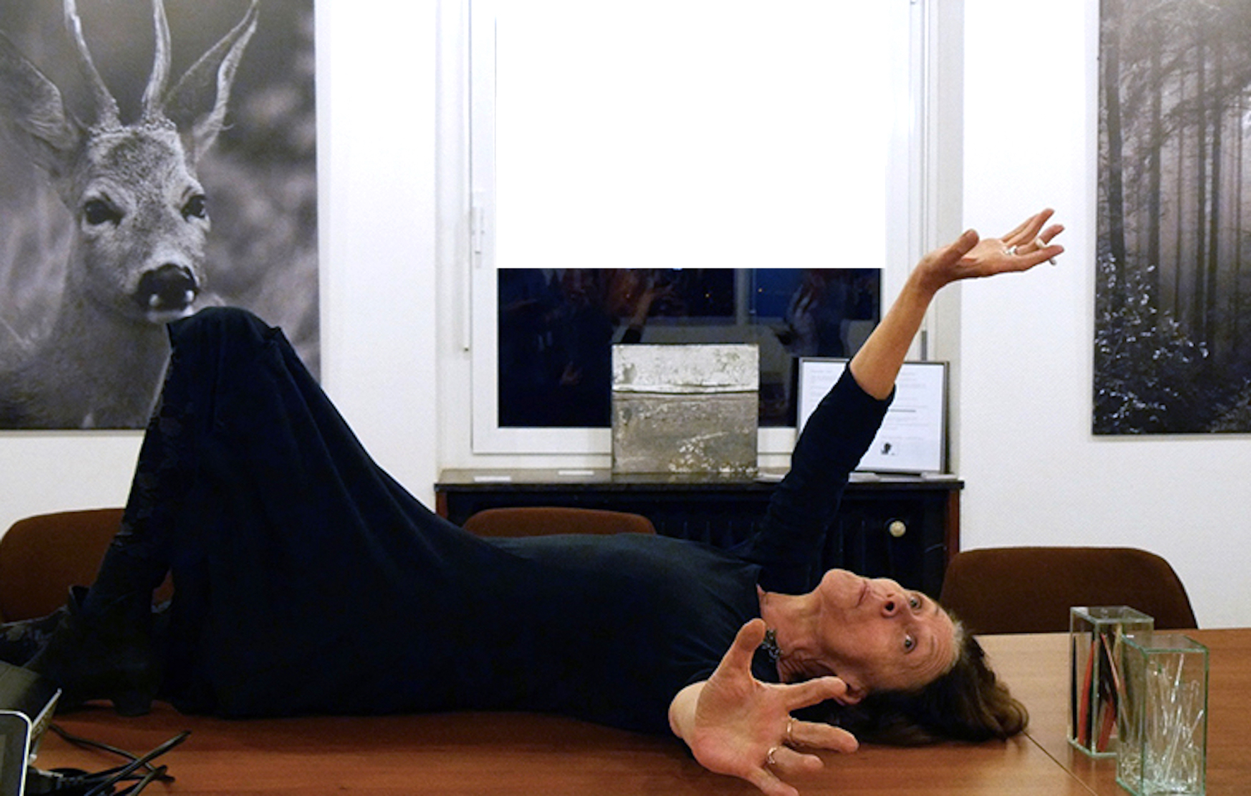 Filmpremiere "Wo Kunst entsteht" - Maria Schätzmüller-Lukas