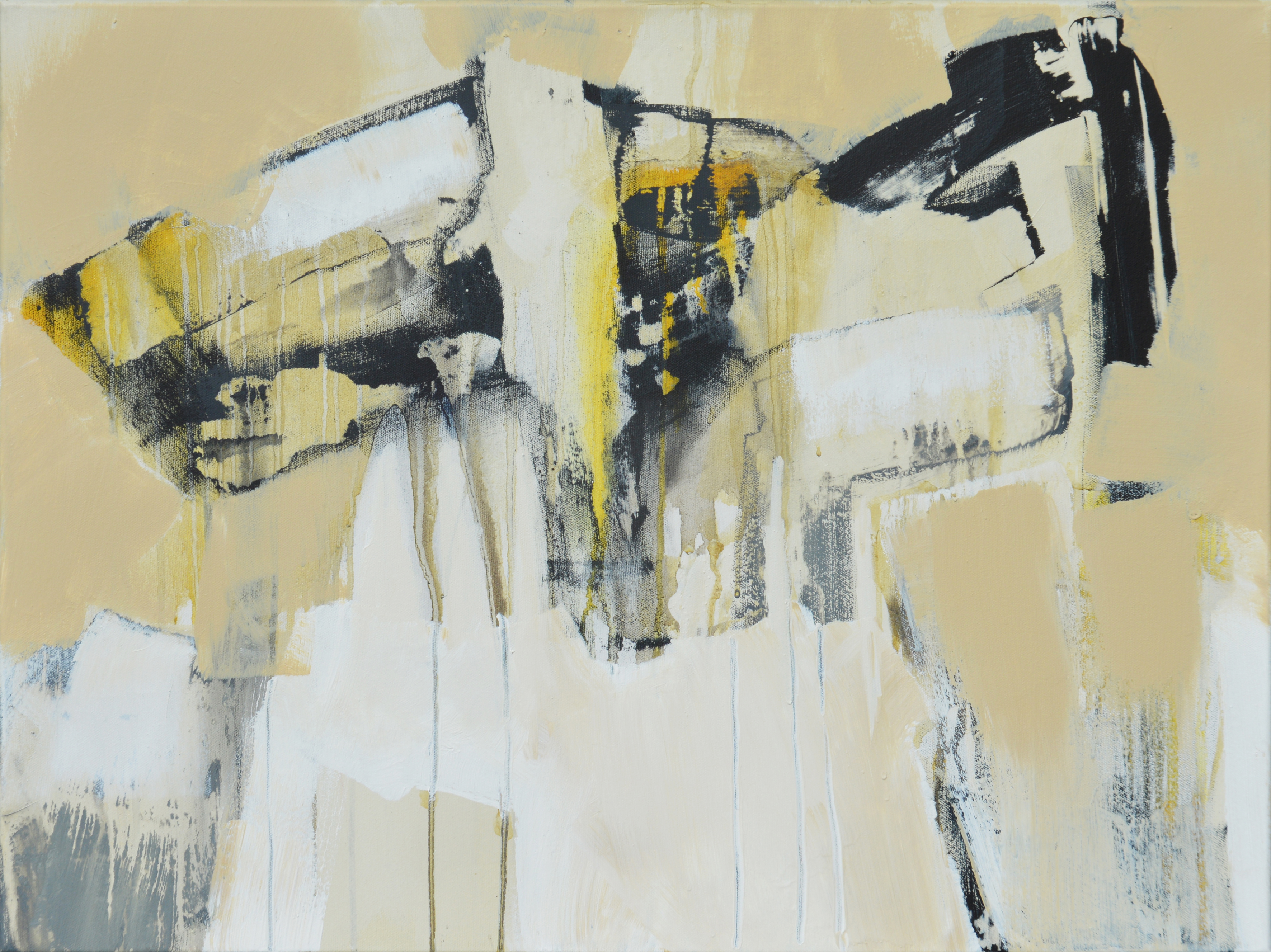 CONSCIOUSNESS - Anne Dahm-Puchalla