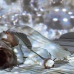 Performence – Claudia Robles-Angel