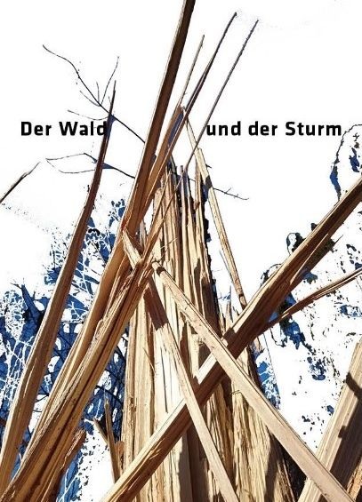 Der Wald und der Sturm - mit Veronika Moos