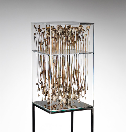Salon international d'Art Contemporain