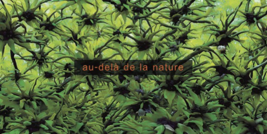 Ausstellung: AU-DELÀ DE LA NATURE