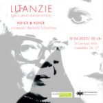 Gesangsduo VOICE & VOICE