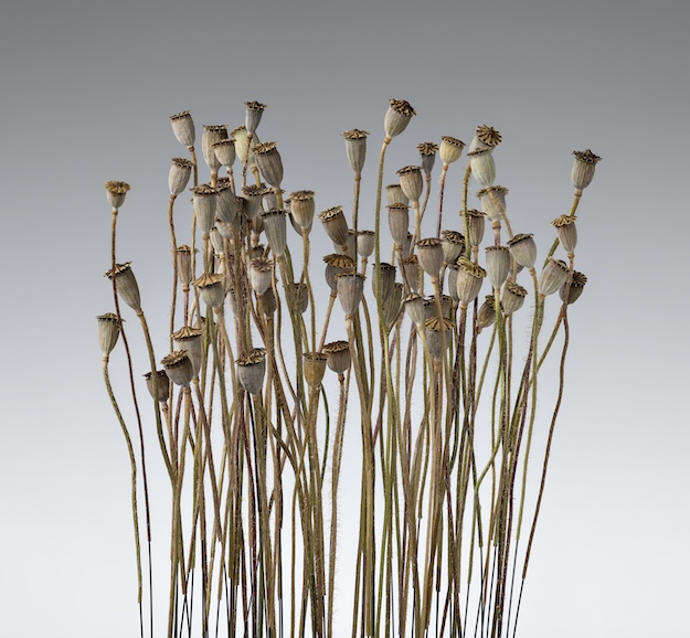 14ème Salon d'Art Contemporain d'Esch-sur-Alzette