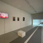 IDA DEHMEL: 1870 – 1942 Ihr Leben, ihre Zeit