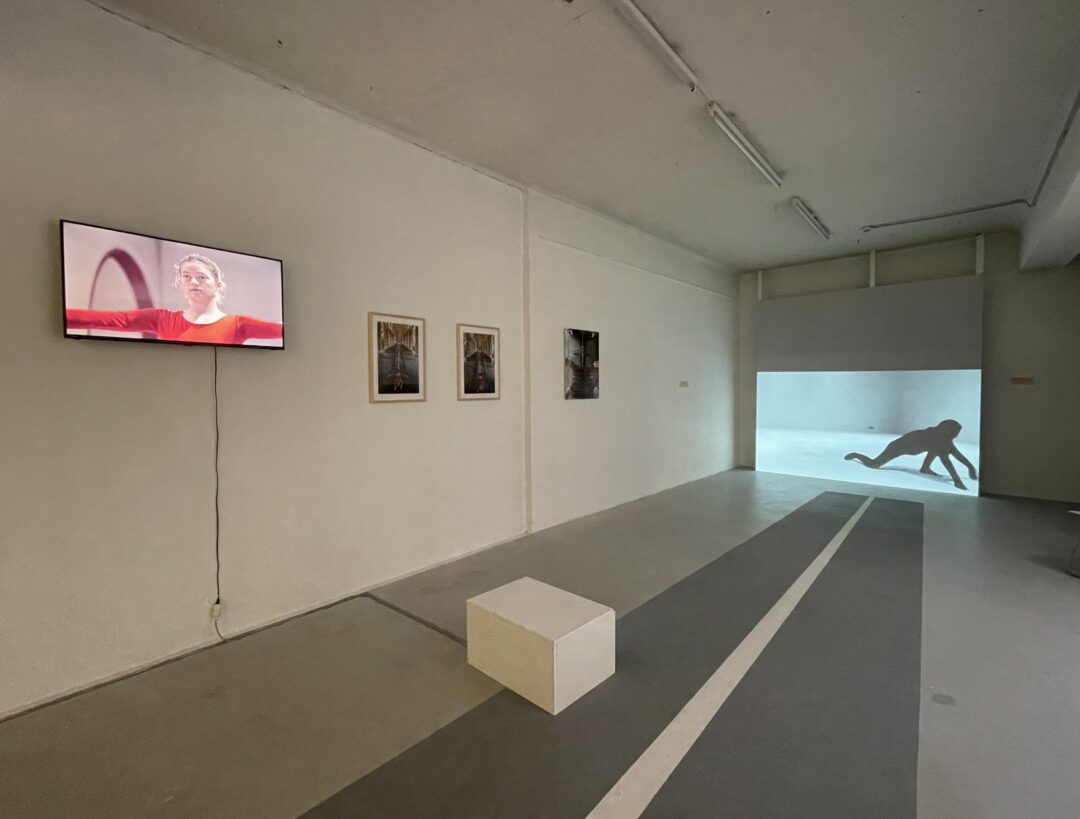 IDA DEHMEL: 1870 – 1942 Ihr Leben, ihre Zeit