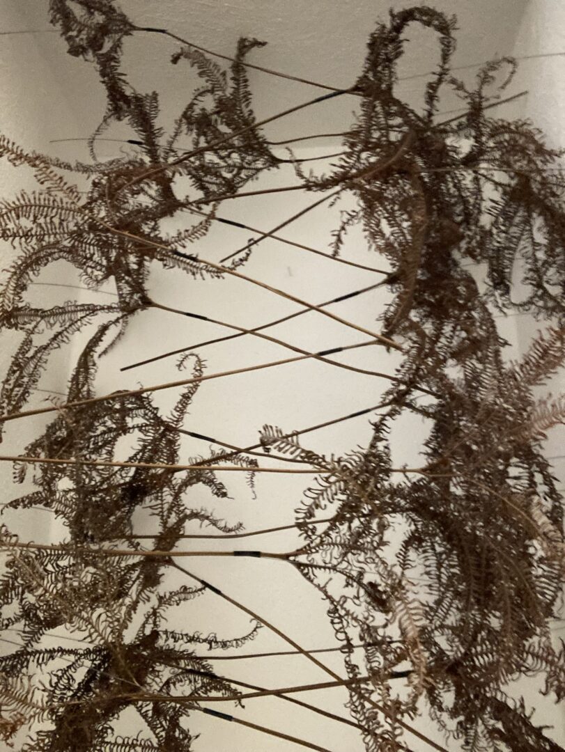 Natur - Kunst - Werk: Gruppenausstellung