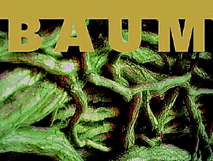 "BAUM" in Maria Lyskirchen Köln