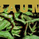 BAUM