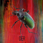 Lesung - Barbara Stewen