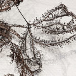 Ausstellung - ENTLOCKT