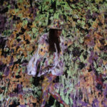 Ausstellung - Die Versöhnung mit der Natur....!