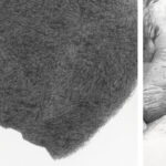 Vernissage: Hiltrud Gauf & Christiane Gerda Schmidt – MASSIV